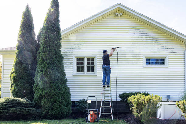 Best Solar Panel Cleaning  in Herald, CA